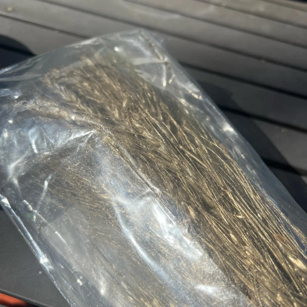 NWT Terrain Sheaf Triticum Champagne Shimmer Bunch 17 inches
